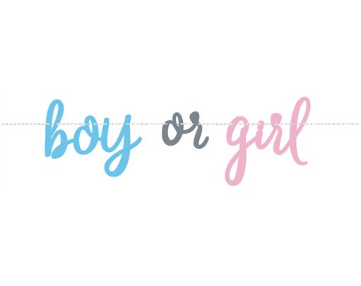 7ft BLUE OR PINK GENDER REVEAL BANNER