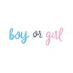 7ft BLUE OR PINK GENDER REVEAL BANNER