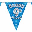 3.9M 9TH BIRTHDAY BLUE BUNTING