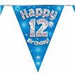 3.9M 12TH BIRTHDAY BLUE BUNTING