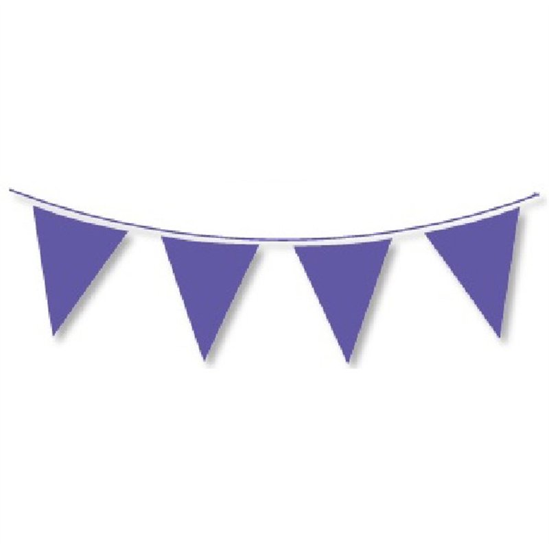 10M REGULAR PURPLE BUNTING