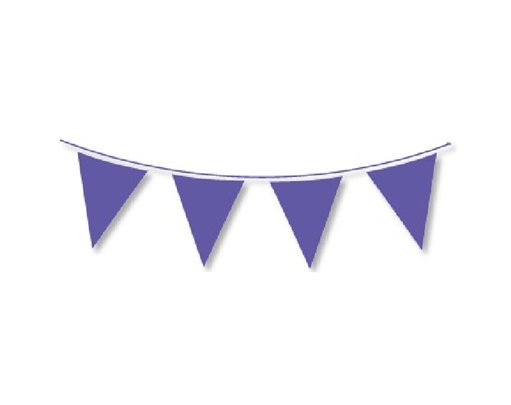 10M REGULAR PURPLE BUNTING