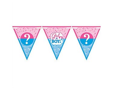 GIRL OR BOY PENNANT BANNER
