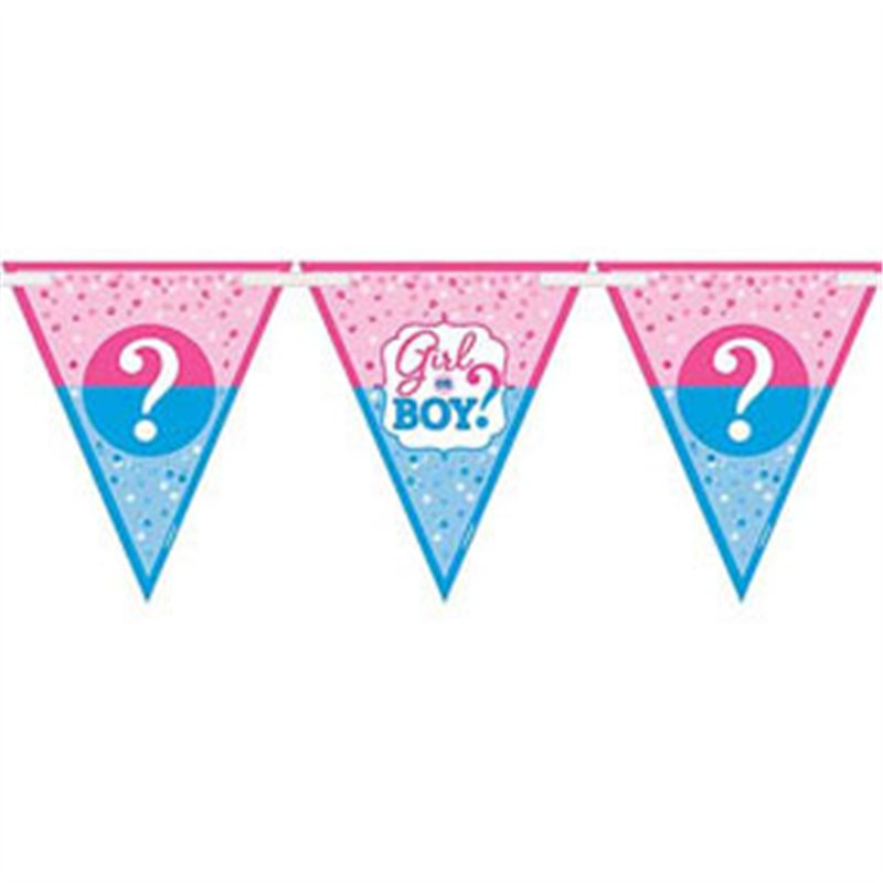 GIRL OR BOY PENNANT BANNER