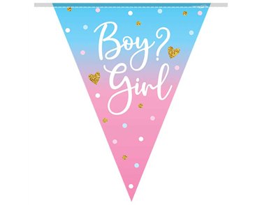 3.9m GIRL GENDER REVEAL BUNTING