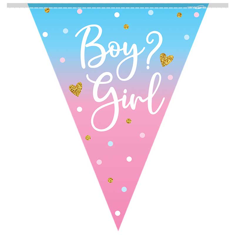 3.9m GIRL GENDER REVEAL BUNTING