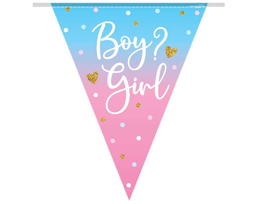 3.9m GIRL GENDER REVEAL BUNTING