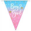 3.9m GIRL GENDER REVEAL BUNTING