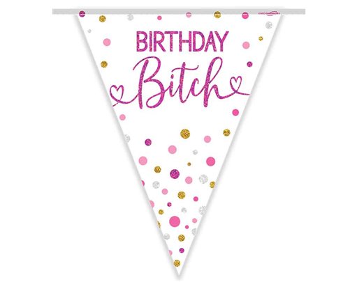3.9m HAPPY BIRTHDAY BITCH PARTY BUNTING