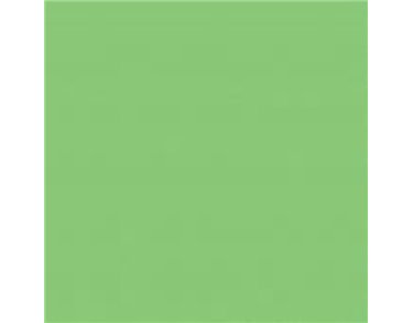 54X108IN KIWI GREEN PLASTIC TABLECOVER