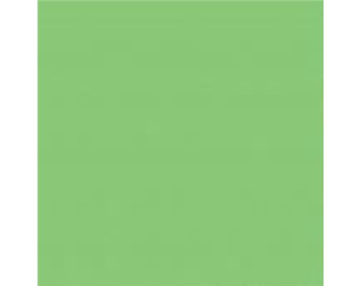 54X108IN KIWI GREEN PLASTIC TABLECOVER