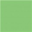 54X108IN KIWI GREEN PLASTIC TABLECOVER