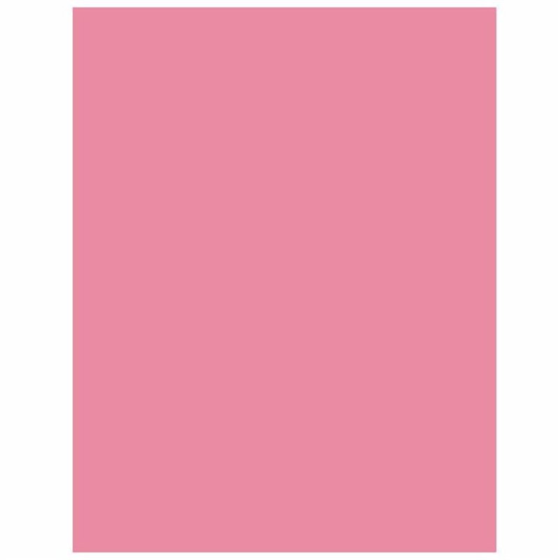 54X108IN BABY PINK PLASTIC TABLECOVER