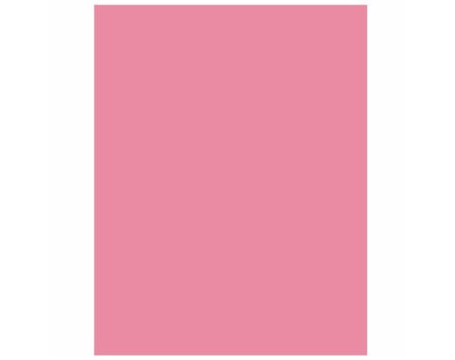 54X108IN BABY PINK PLASTIC TABLECOVER