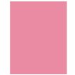 54X108IN BABY PINK PLASTIC TABLECOVER