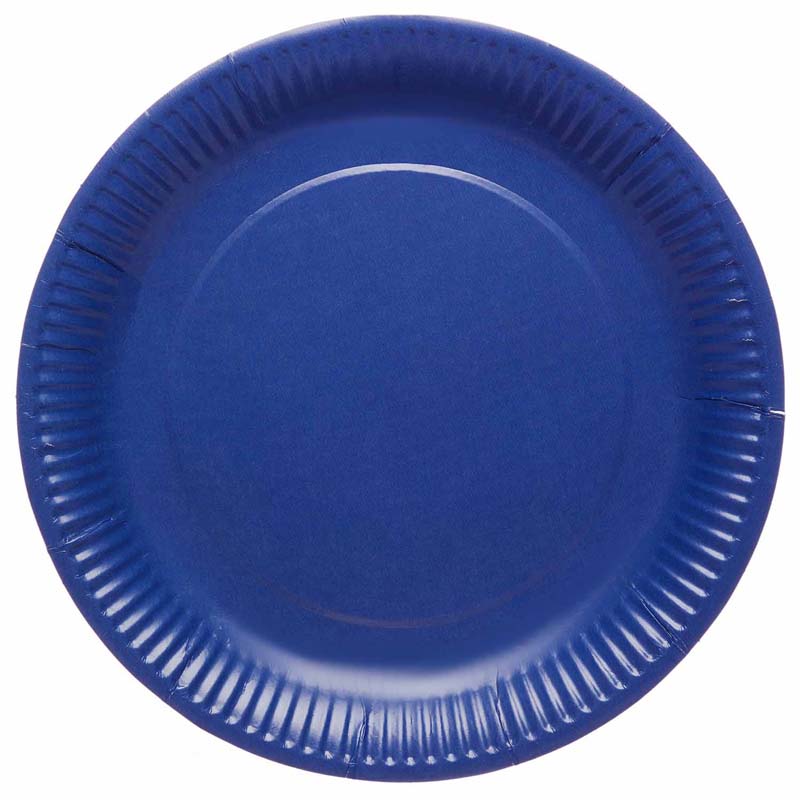 8PK 23cm BLUEBERRY PAPER PLATES