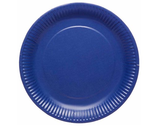 8PK 23cm BLUEBERRY PAPER PLATES