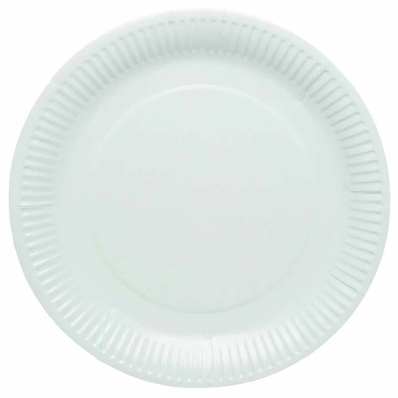 8PK 23cm DUCK EGG BLUE PAPER PLATES