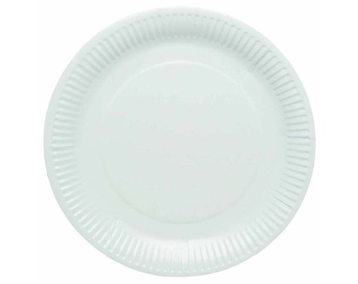 8PK 23cm DUCK EGG BLUE PAPER PLATES