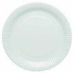 8PK 23cm DUCK EGG BLUE PAPER PLATES