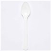 24PK PLASTIC SPOONS 24PK COCONUT WHITE