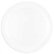 21cm WHITE REUSABLE SEMI-TRANSPARENT PLATE