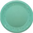 21cm PASTEL MINT "PARTY" REUSABLE SEMI-TRANSPARENT PLATE