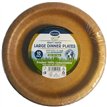 10PK 26cm KRAFT PAPER PLATES