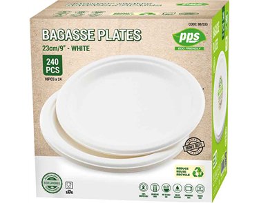 10PK 23cm WHITE BAGASSE PLATES