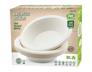 10PK 12oz WHITE BAGASSE PLATES