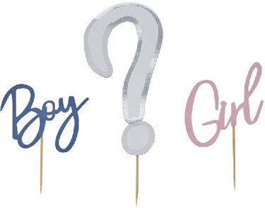 GENDER REVEAL CARD CAKE TOPPER SET