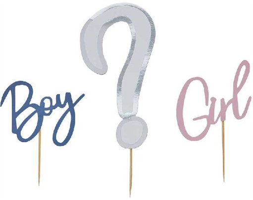 GENDER REVEAL CARD CAKE TOPPER SET