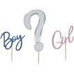 GENDER REVEAL CARD CAKE TOPPER SET