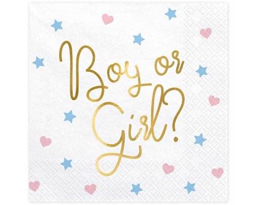 20PK 33x33cm BOY OR GIRL NAPKINS