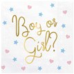 20PK 33x33cm BOY OR GIRL NAPKINS