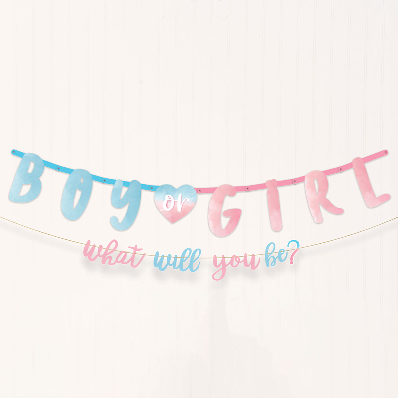 THE BIG REVEAL JUMBO BANNER KIT