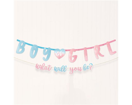 THE BIG REVEAL JUMBO BANNER KIT