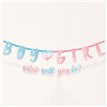 THE BIG REVEAL JUMBO BANNER KIT