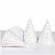 6PK HOORAY HATS