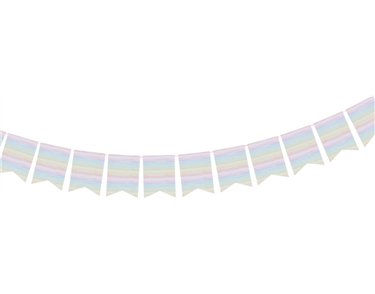 2m ECO RAINBOW FLAG BANNER