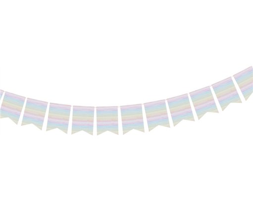 2m ECO RAINBOW FLAG BANNER