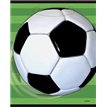 (8) 3D FOOTBALL LOOTBAGS