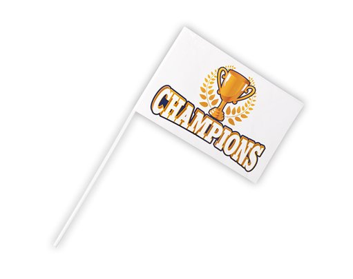 17x25xm CHAMPIONS HAND FLAG
