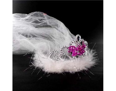 BRIDE TO BE FLASHING TIARA & VEIL