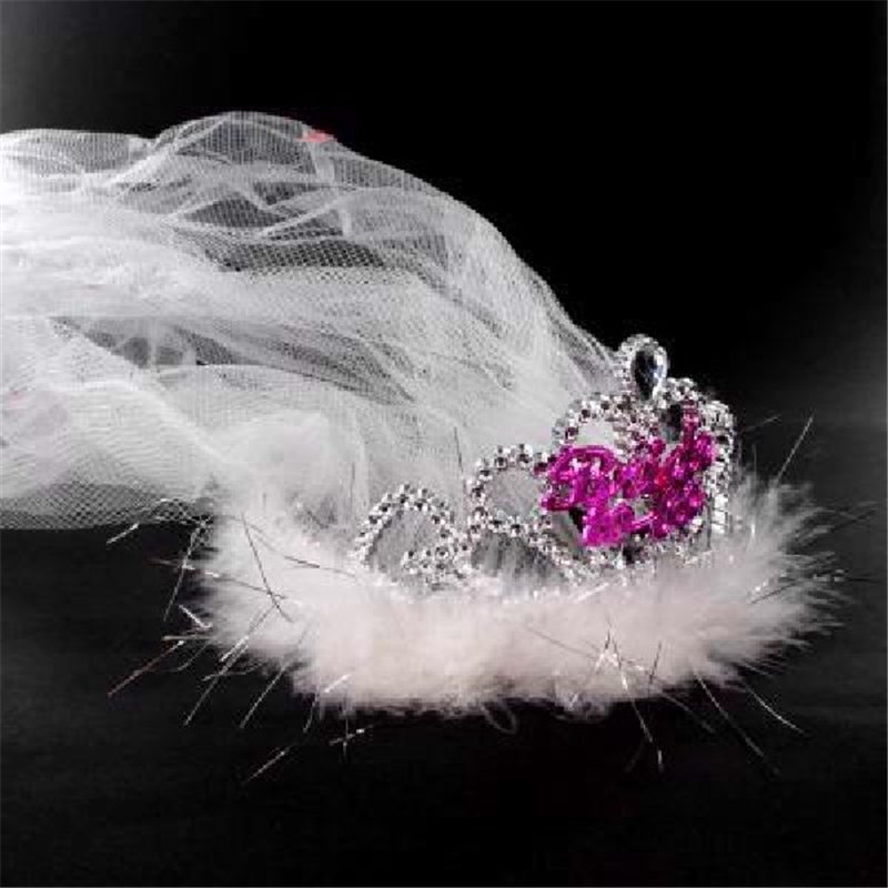 BRIDE TO BE FLASHING TIARA & VEIL