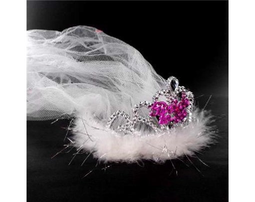 BRIDE TO BE FLASHING TIARA & VEIL