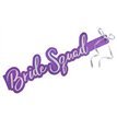 (5) BRIDE SQUAD SASHES