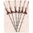 ROSE GOLD WILLY STRAWS