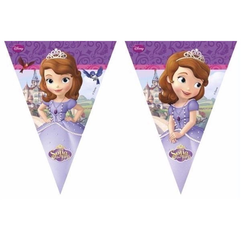 SOFIA THE FIRST TRIANGLE FLAG BANNER