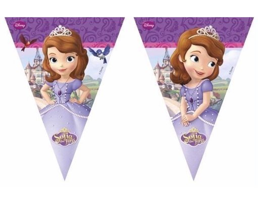 SOFIA THE FIRST TRIANGLE FLAG BANNER